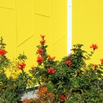 összhang (design-milk.com)