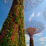szuperfák (designboom.com)