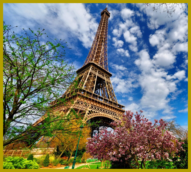 virágzó magnóliafa és a 125 éves Eiffel-torony, tavasz Párizsban