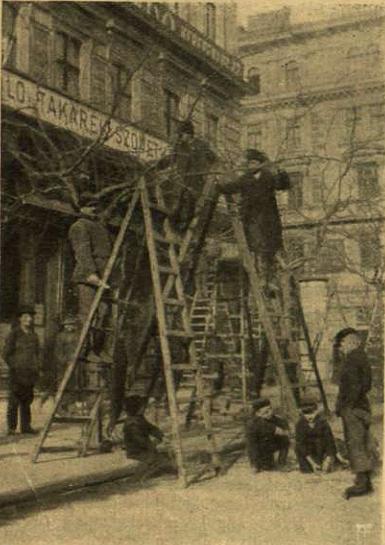 Fanyesés - 1905