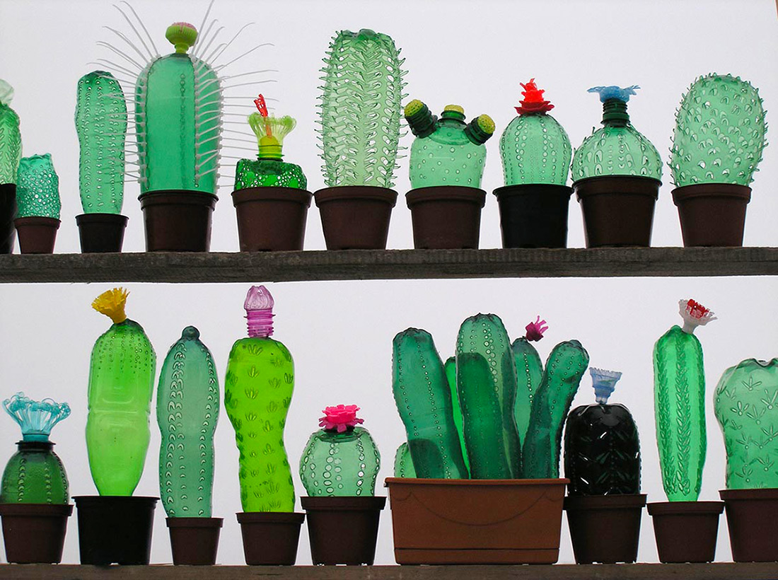 kaktuszok PET palackokból