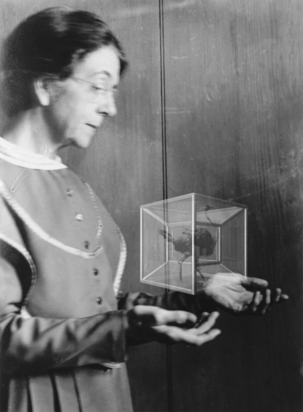 Tesseract - szórakoztató mozgóképek archív fotókból